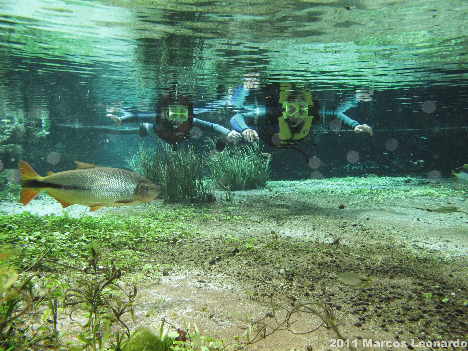 Flutuação no Rio Sucuri