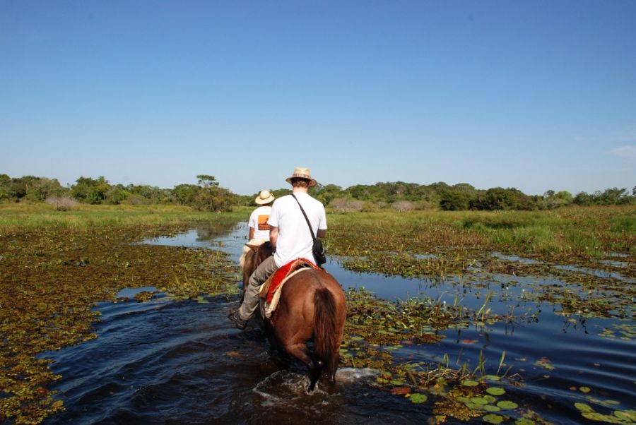 cavalgada no pantanal