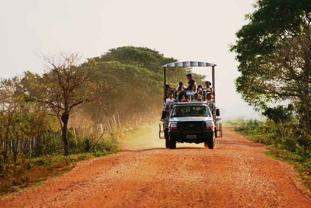 Safári Pantanal