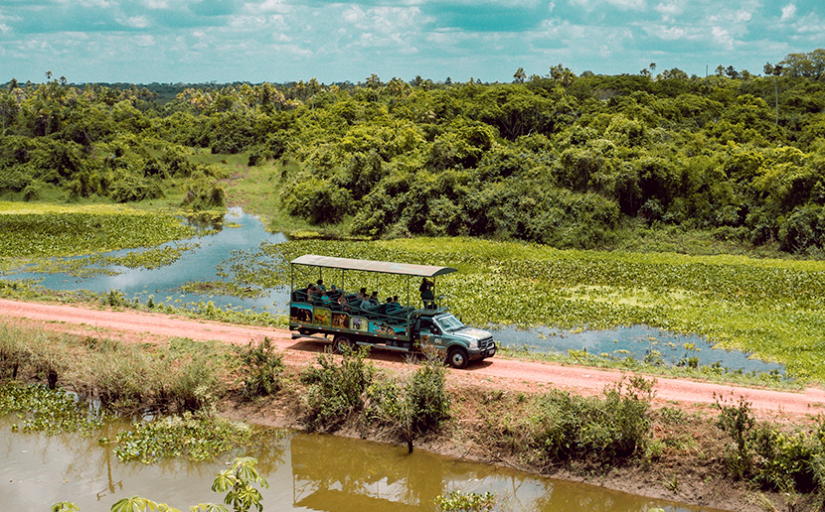 bw_saiba_a_diferenca_entre_safari_fotografico_e_focagem_noturna_pantanal_ms_e