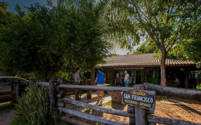 fazenda-san-francisco-pantanal-sul