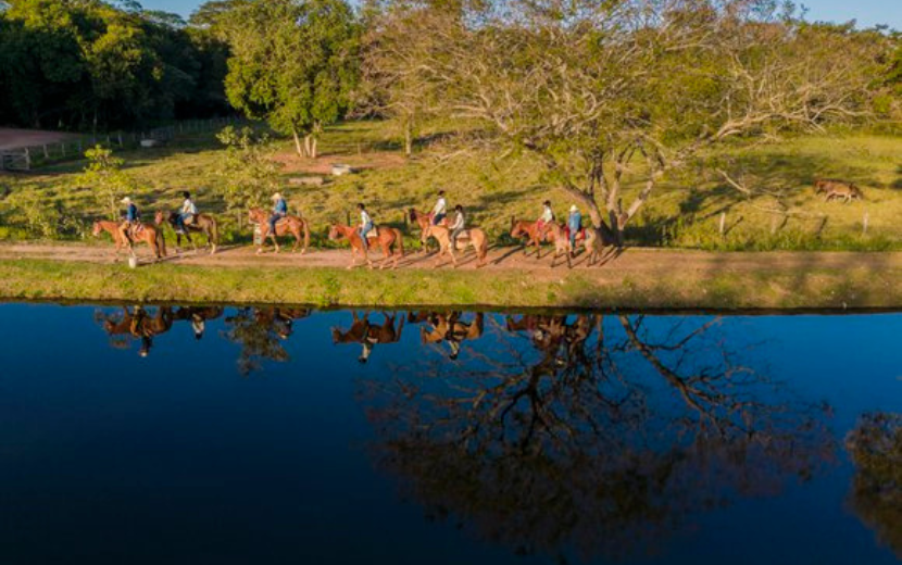 Passeios no Pantanal: por que fazer cavalgada no cerrado do Mato Grosso? -  Rede de Hotéis Mato Grosso