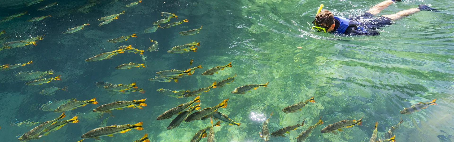 Rio da Prata Flutuação