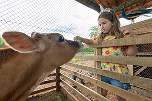 Transporte Privativo - Hotel em Campo Grande - Bioparque