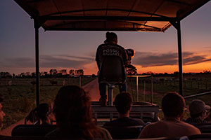 Focagem Noturna na Fazenda San Francisco Pantanal - Sem jantar