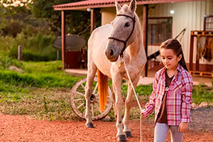 Transporte Regular - Cavalgada Recanto do Peão (VESPERTINO)