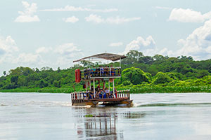 Faz San Francisco - Day use no Pantanal com almoço