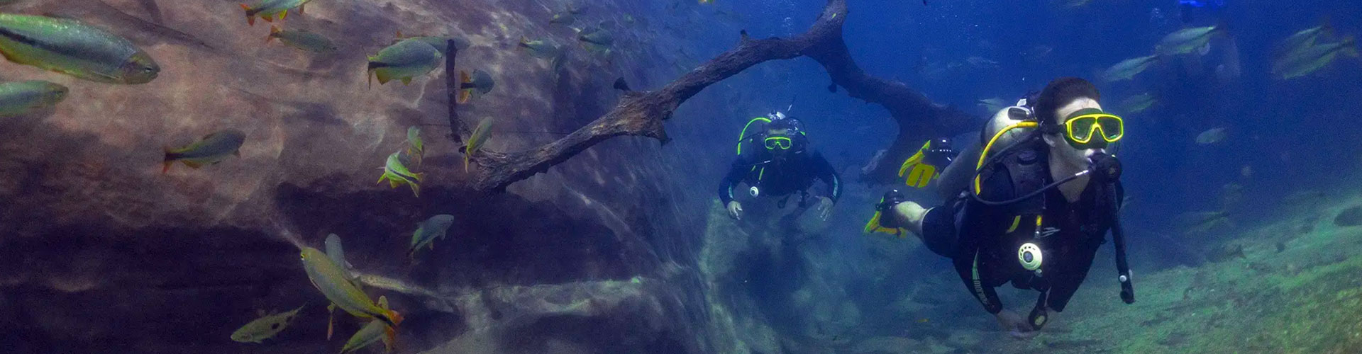 Mergulho com cilindro no Rio Da Prata