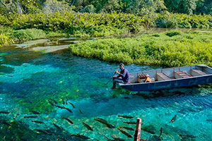 Passeio de Barco no Rio Sucuri