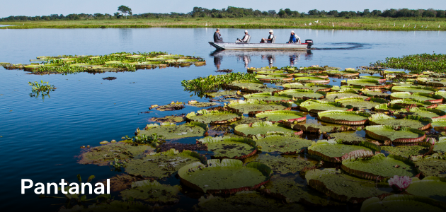 Destino Pantanal - MS