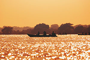 Sunset Pantanal - Corumbá