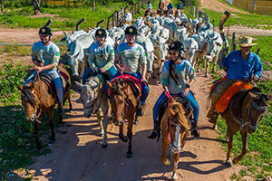 Pantanal Experiência -  Vida de Comitiva 100% Peão - Meio período sem almoço