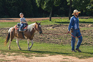 Pantanal Experiência - Farm Tour - Meio Período sem almoço